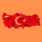 Türkçe Karakterli Domain Nedir